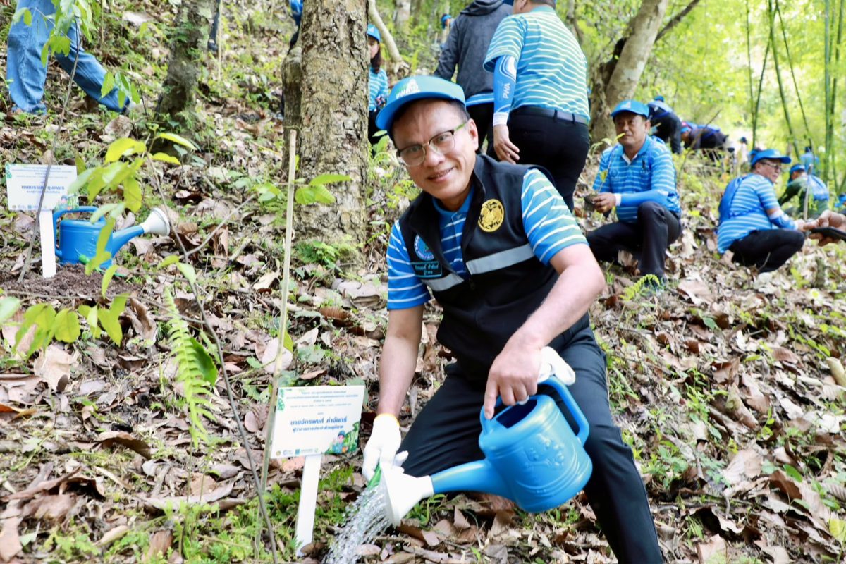 กปภ. ปลูกป่าเพื่อแผ่นดิน สืบสานพระราชปณิธานในหลวง รัชกาลที่ 9 ฟื้นผืนป่าต้นน้ำน่าน สู้วิกฤตโลกร้อนและภัยแล้งอย่างยั่งยืน
