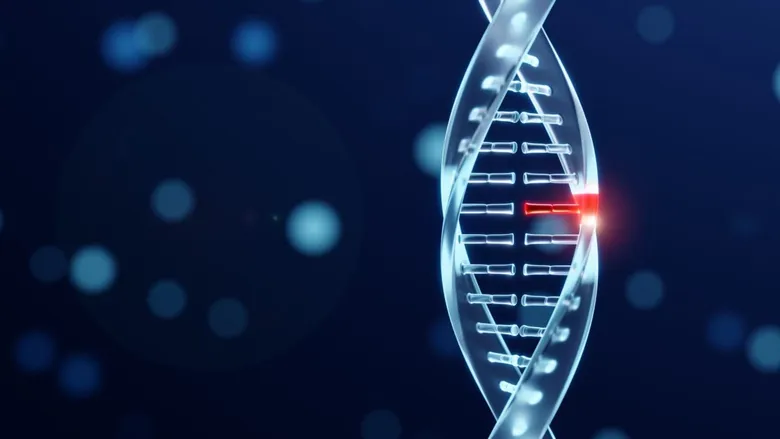 Genetics Life Blueprint: เมื่อการรู้ลึกถึงระดับพันธุกรรม กลายเป็น Big Data เพื่อการวางแผนครอบครัว