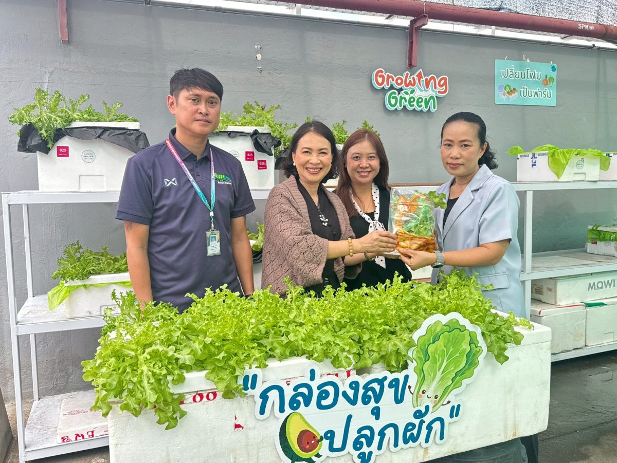 สร้างมูลค่าจากวัสดุเหลือใช้! พาราไดซ์ พาร...