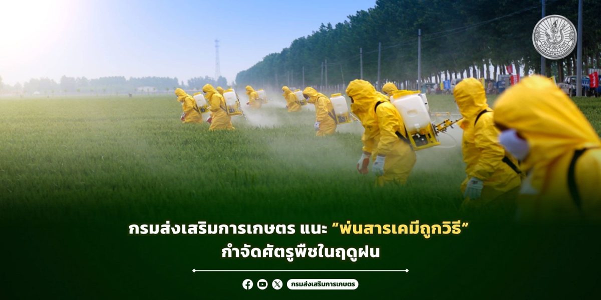กรมส่งเสริมการเกษตร ส่งเสริมให้เกษตรกรสาม...