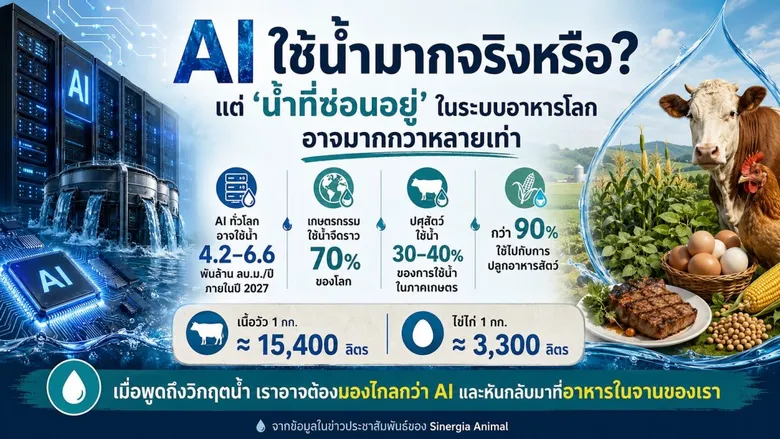 AI ใช้น้ำมากจริงหรือ? NGO ชวนมองอีกด้านของการใช้น้ำที่อาจถูกมองข้ามในระบบอาหารโลก