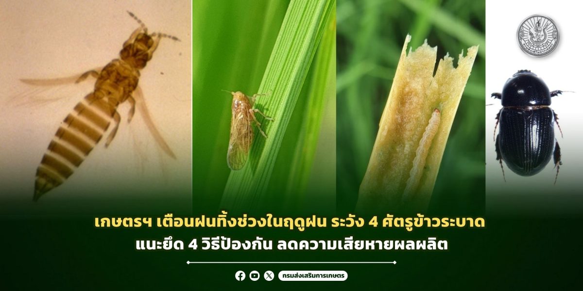 จากการคาดการณ์ของกรมอุตุนิยมวิทยา ซึ่งระบ...