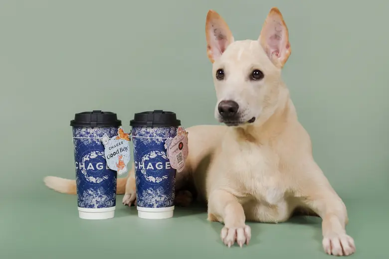 CHAGEE จับมือ Soi Dog เปิดตัวโครงการ CSR ...