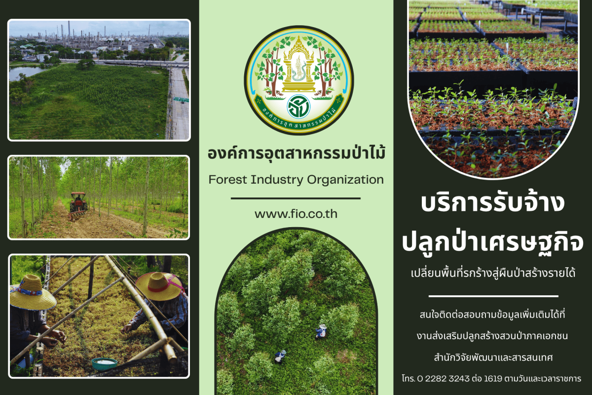 อ.อ.ป. พลิกที่ดินรกร้างสู่ "สินทรัพย์สีเขียว" เปิดธุรกิจรับจ้างปลูกป่าครบวงจร ลดความเสี่ยงสร้างมูลค่าระยะยาว