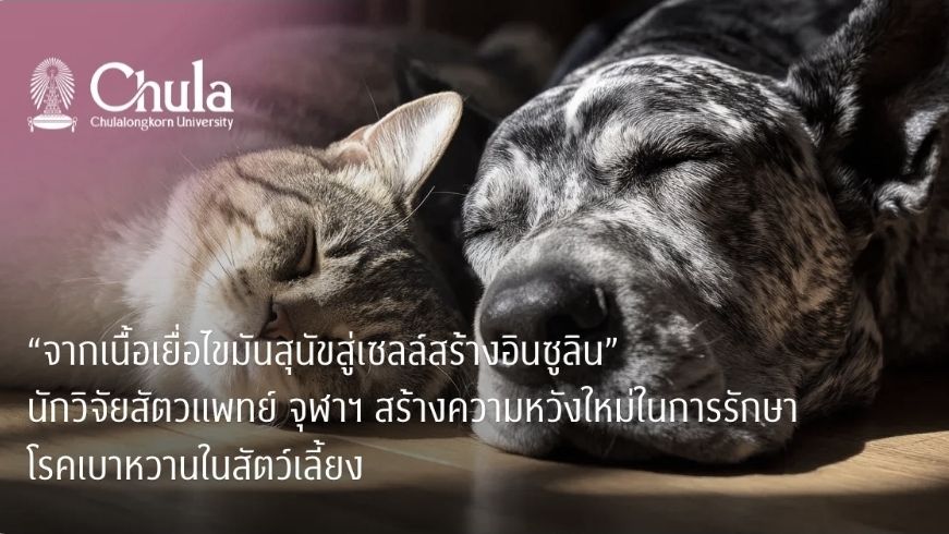เมื่อพูดถึงโรคเบาหวาน หลายคนคงนึกถึงโรคที...