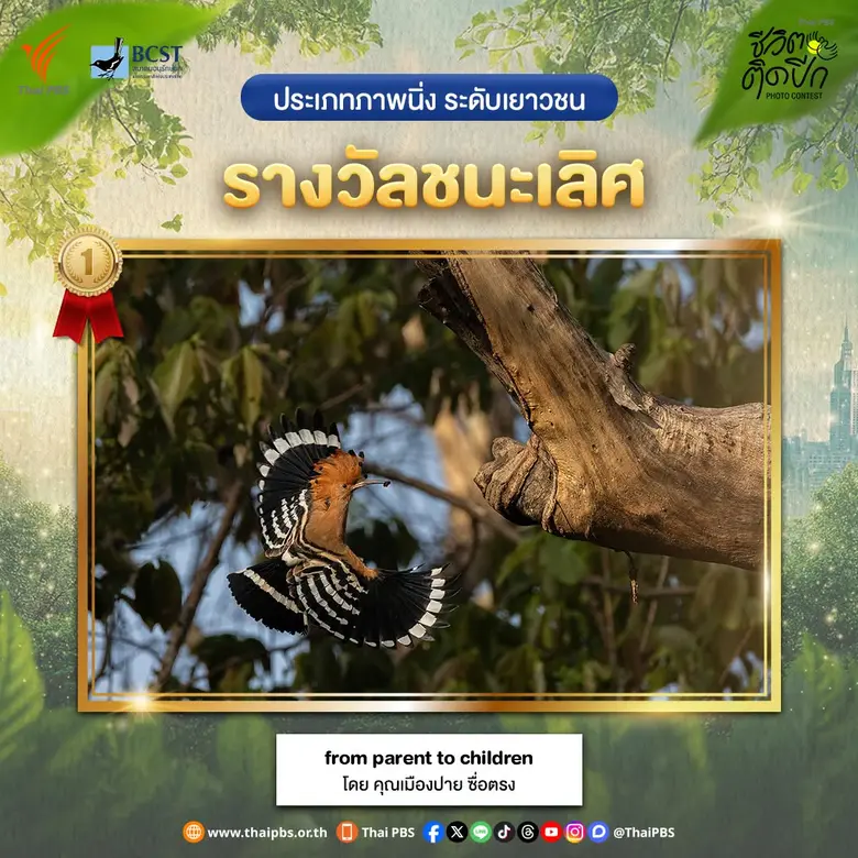 "ชีวิตติดปีก" แรงไม่หยุด! ไทยพีบีเอสเผยยอดส่งผลงานทะลุ 2,000 ชิ้น ต่อยอดพลังคนรักธรรมชาติ
