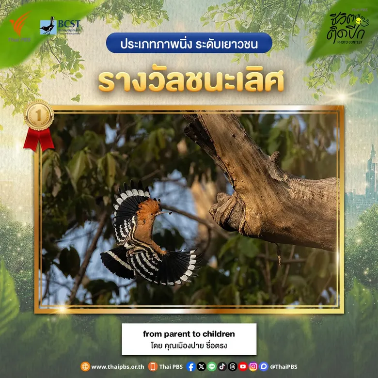 "ชีวิตติดปีก" แรงไม่หยุด! ไทยพีบีเอสเผยยอดส่งผลงานทะลุ 2,000 ชิ้น ต่อยอดพลังคนรักธรรมชาติ