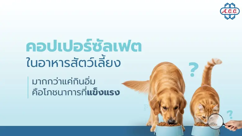 ในการเลือกซื้ออาหารให้สุนัขและแมว เจ้าของส่วนใหญ่มั...
