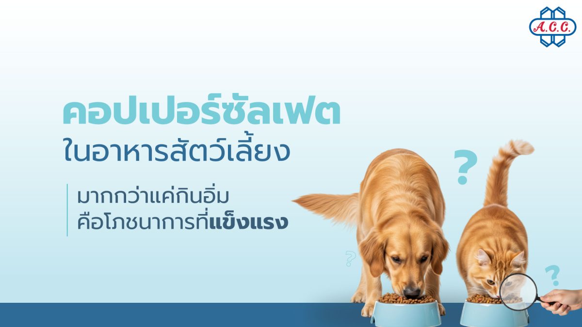 ในการเลือกซื้ออาหารให้สุนัขและแมว เจ้าของ...