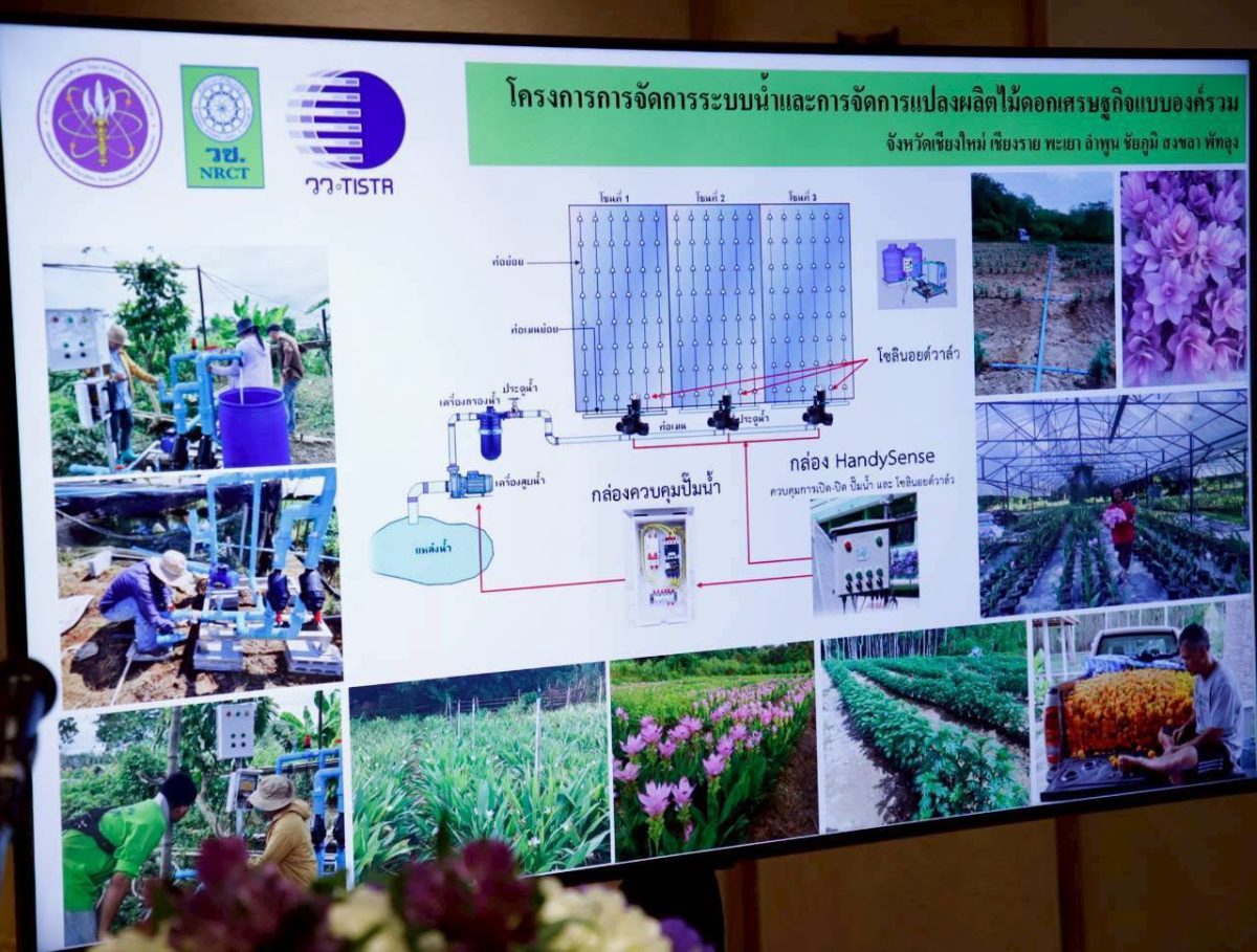 วว. ร่วมยกระดับภาคเกษตรไทย โชว์ "นวัตกรรมสร้างสรรค์" ผลักดันไม้ดอกไม้ประดับสู่คุณภาพสูง ในงานมหกรรมงานวิจัยแห่งชาติ 2569