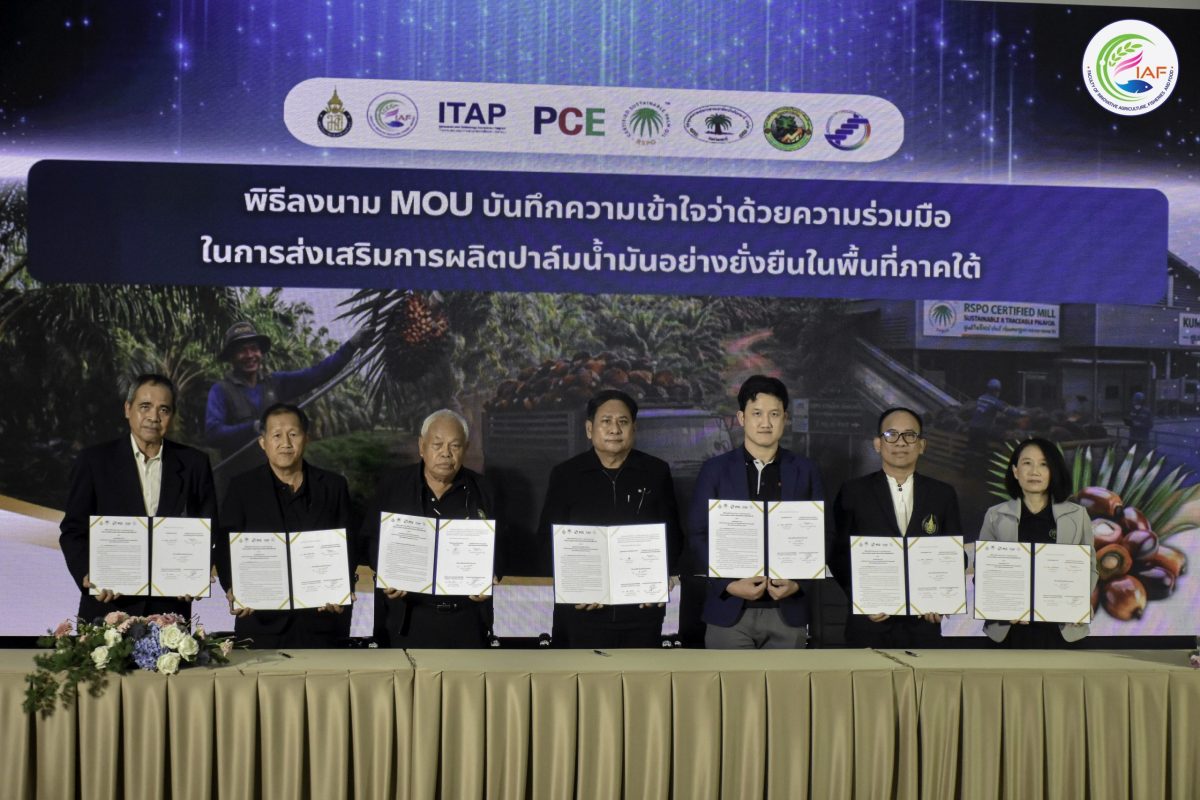 บมจ.เพชรศรีวิชัย เอ็นเตอร์ไพรส์ (PCE) จับ...
