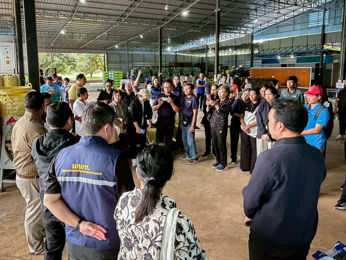 มกอช. ติวเข้มมาตรฐานทุเรียนอีสาน ยกระดับคุณภาพส่งออก คุมเข้มทุเรียนอ่อน สร้างเชื่อมั่นตลาดโลก