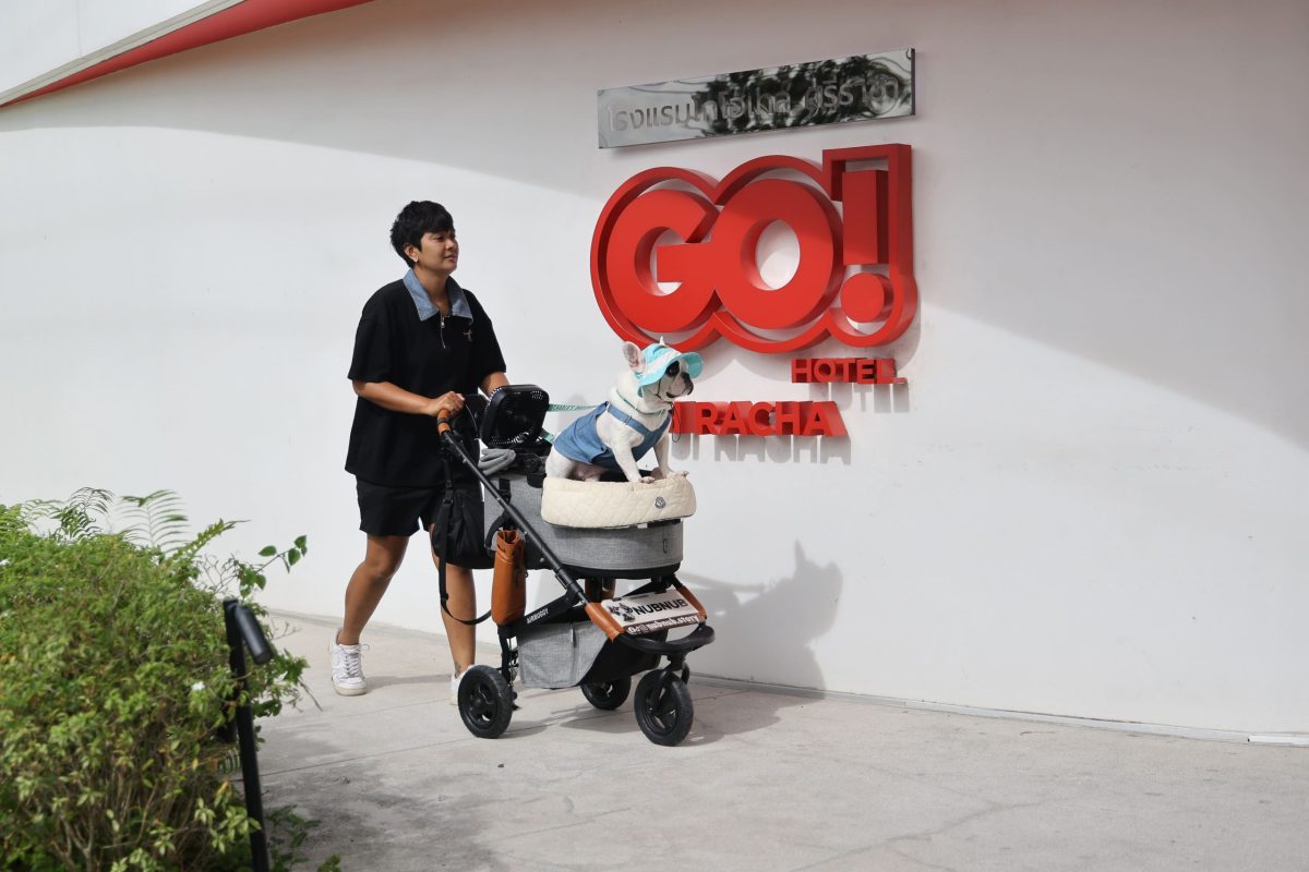 GO HOTEL ศรีราชา ชวนพาลูกรักสี่ขาเข้าพักฟรี! ลัดเลาะเที่ยวฟินใกล้กรุงฯ