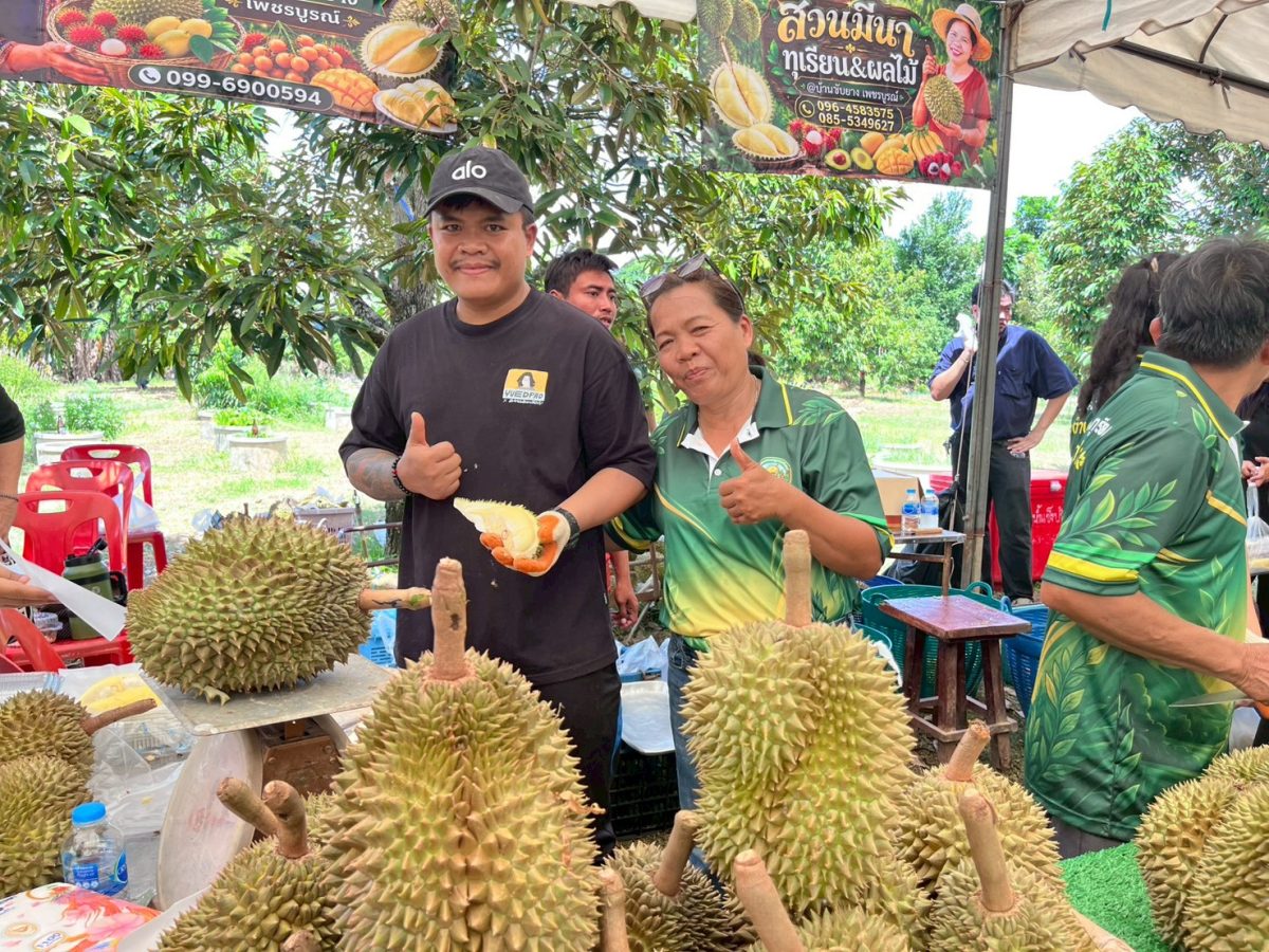 "บุกสวน ชวนฟิน กินทุเรียนนาป่า" คึกคัก! เกษตรเมืองเพชรบูรณ์เดินหน้าหนุนท่องเที่ยวเชิงเกษตร ดันทุเรียนท้องถิ่นสู่แหล่งท่องเที่ยวคุณภาพ