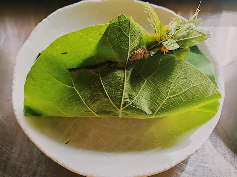 ประสบการณ์อาหารมื้อพิเศษ ท่ามกลางธรรมชาติ...