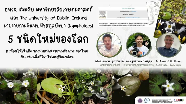 ปทุมธานี 6 กรกฎาคม 2569 องค์การพิพิธภัณฑ์...