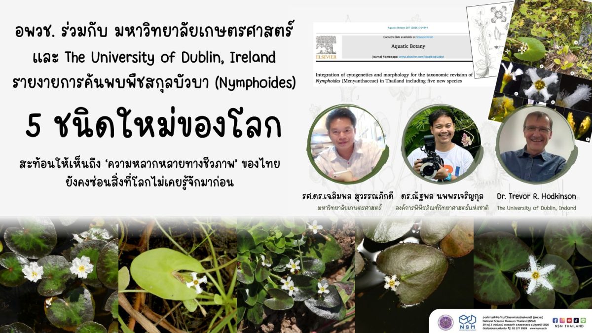 ปทุมธานี 6 กรกฎาคม 2569 องค์การพิพิธภัณฑ์...