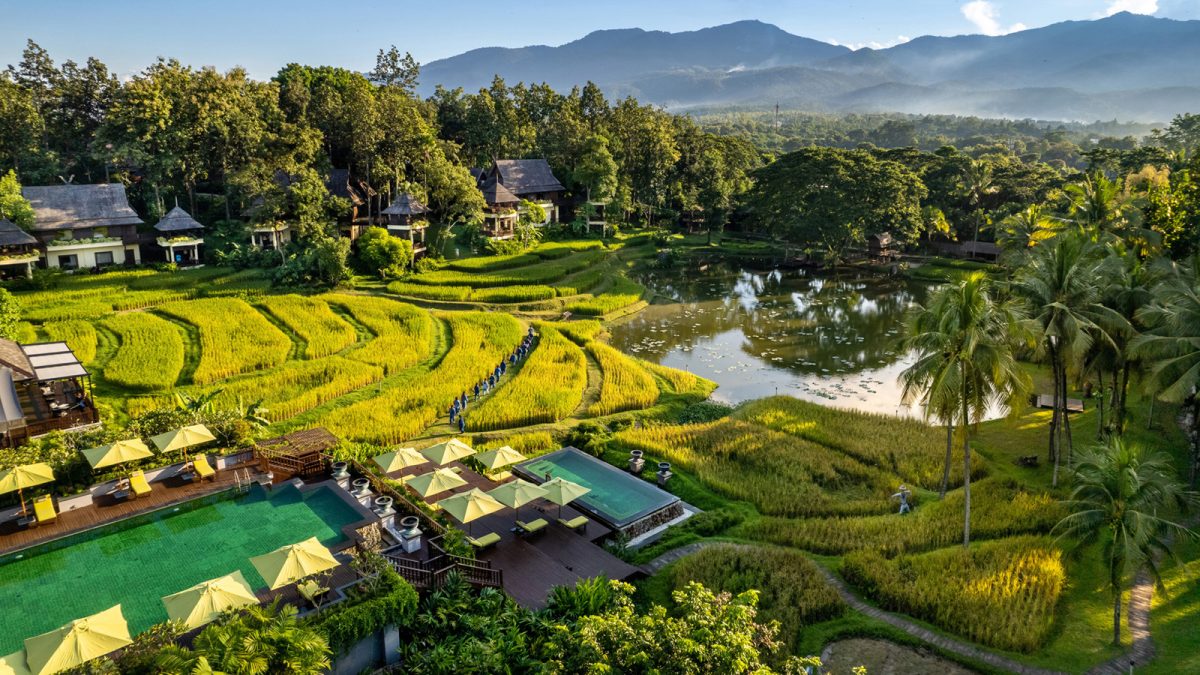 Celebrating the beauty of Northern Thaila...