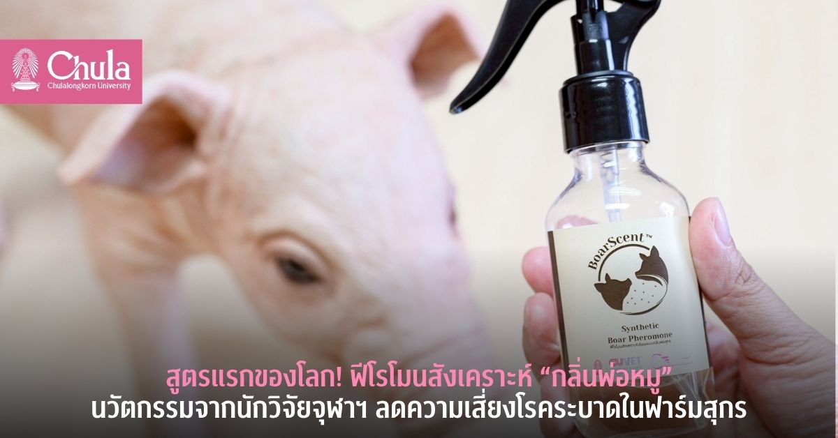ทีมนักวิจัยคณะสัตวแพทยศาสตร์ จุฬาฯ คิคค้น...