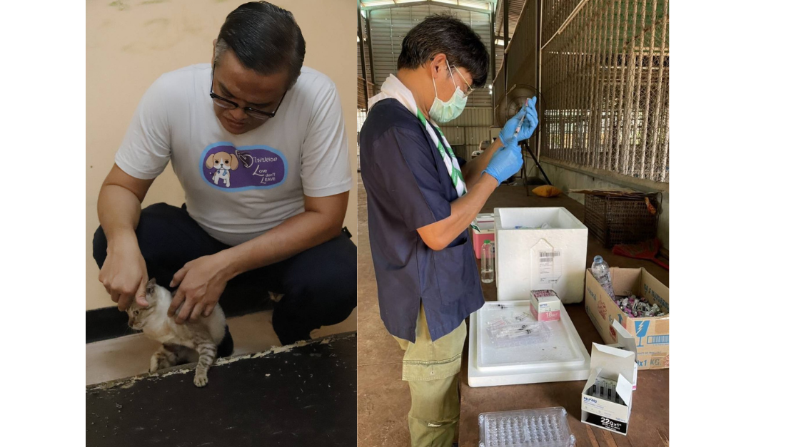 สมาคมป้องกันการการทารุณสัตว์แห่งประเทศไทย...