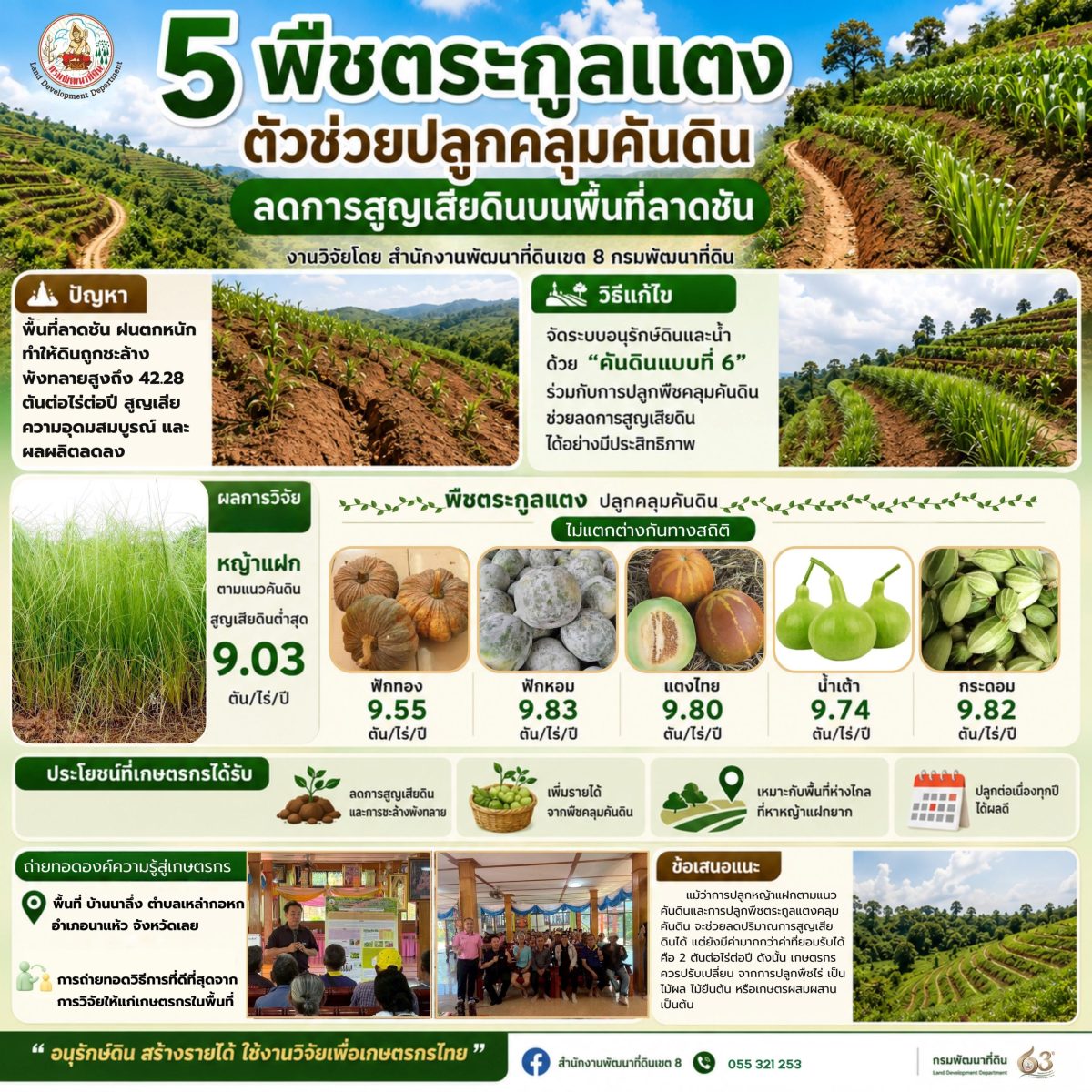 การปลูกพืชบนพื้นที่ลาดชัน โดยไม่มีระบบอนุ...
