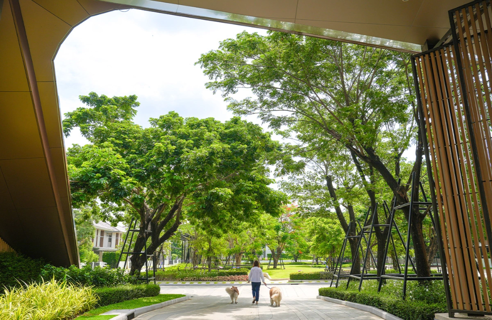 กรุงเทพฯ ฝั่งตะวันออก โดยเฉพาะโซนบางนาถือ...