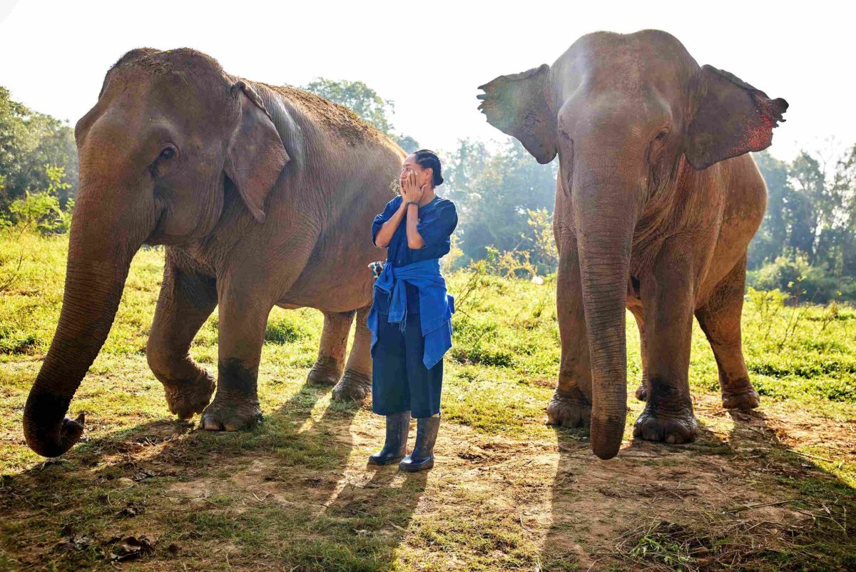 Anantara Golden Triangle Elephant Camp & ...