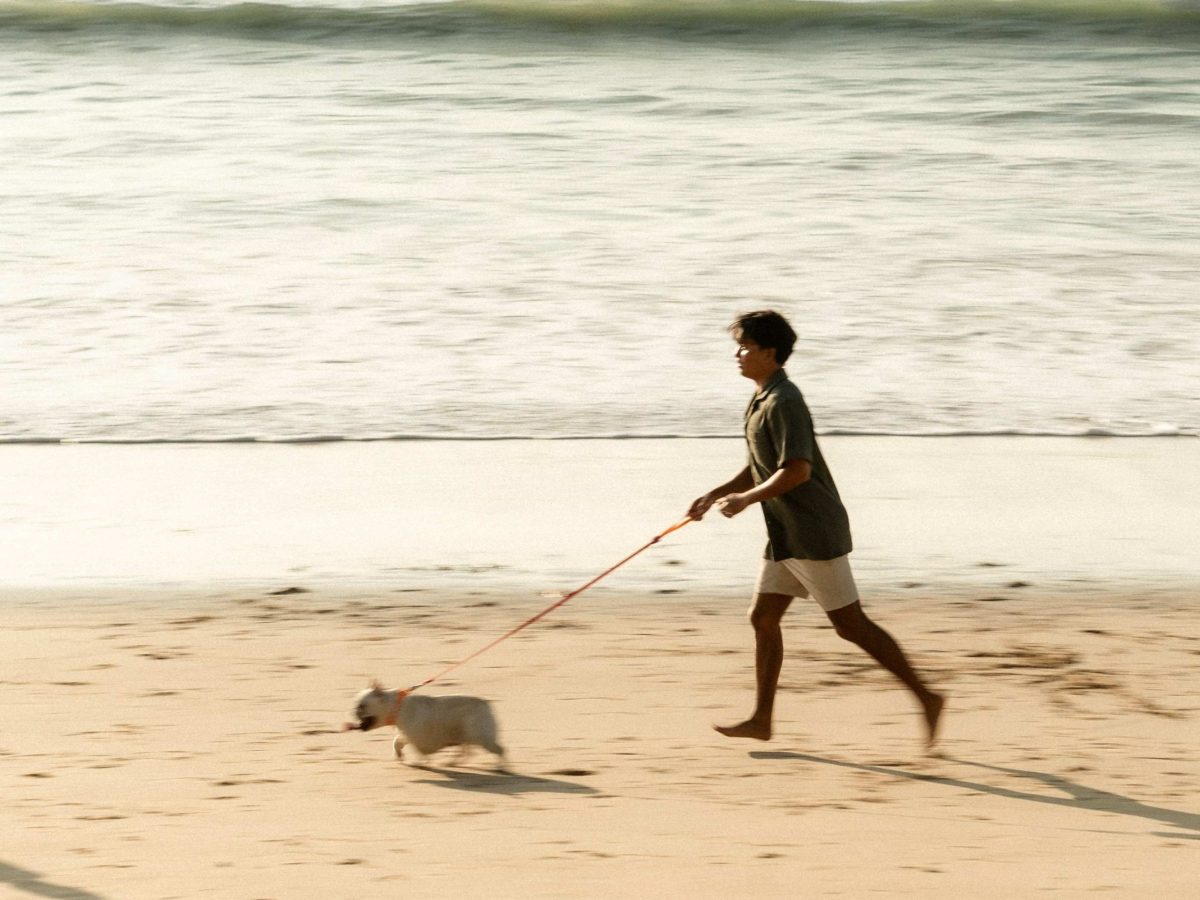 Avani Puts a "Paws" on Pet Fees as Dogs Stay Free for International Dog Day