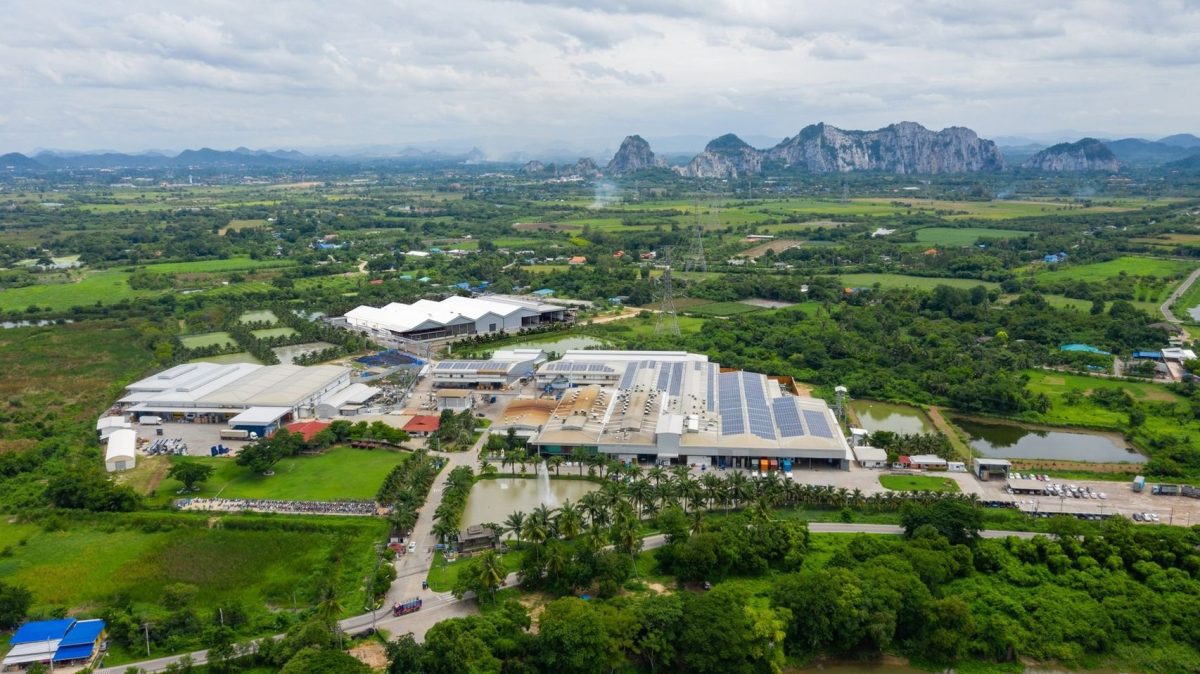บริษัท ไทย โคโคนัท จำกัด (มหาชน) หรือ COC...