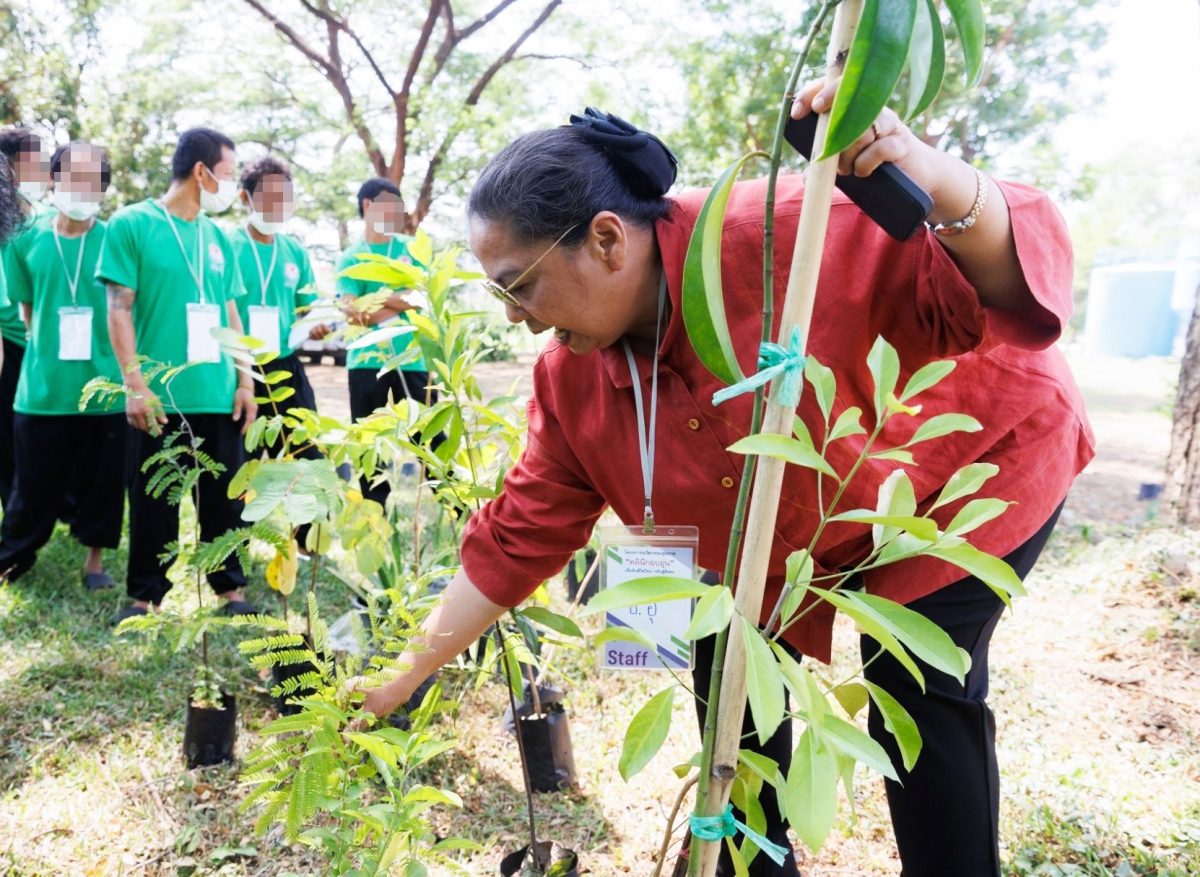 การปรับนโยบาย "เปลี่ยนผู้เสพเป็นผู้ป่วย" ...