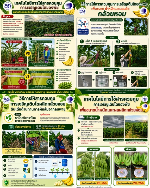 กระทรวงการอุดมศึกษา วิทยาศาสตร์ วิจัยและน...