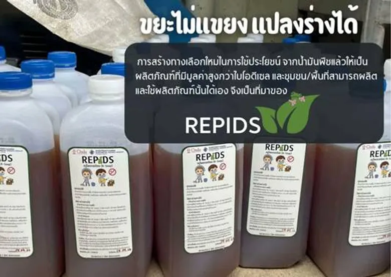 Repids: Turning Used Cooking Oil into Organic Insecticide - A Community Innovation from Chulalongkorn University