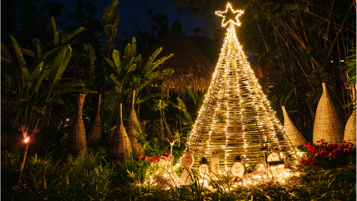 What if your next festive celebration unf...