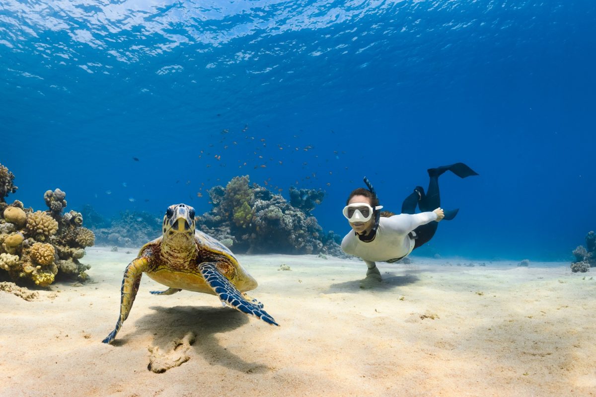 A family freediving retreat at Avani+ Far...