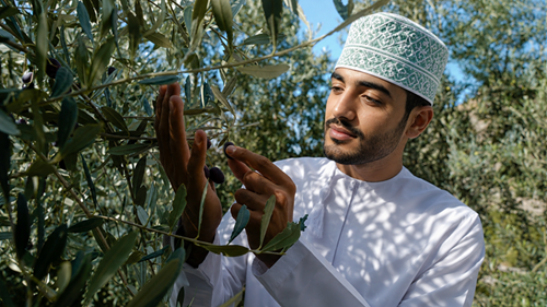 A five-day celebration of Omani olive cul...
