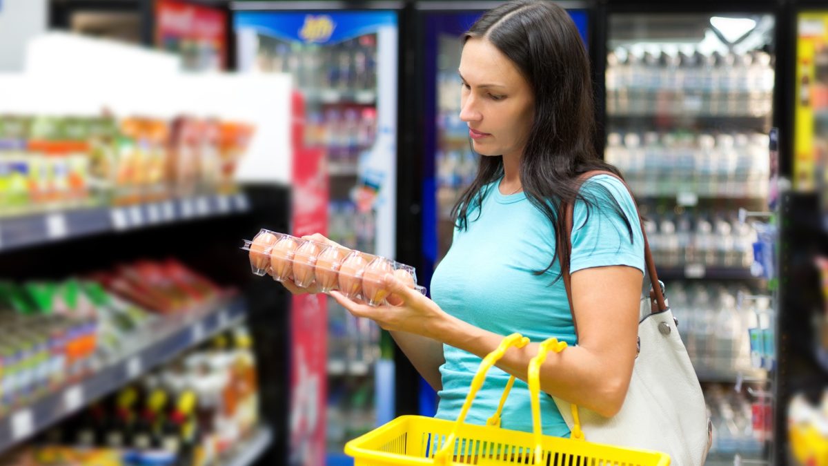 ซิเนอร์เจีย แอนนิมอล ชวนมองให้ลึกกว่า "คำบนกล่อง" พ...