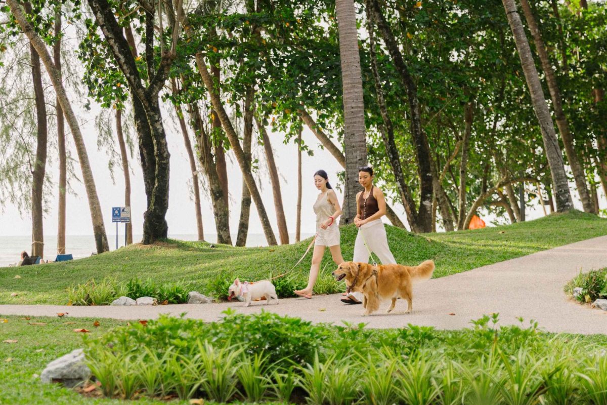 อวานี โฮเทลส์ แอนด์ รีสอร์ทส์ (Avani Hotels & Resor...