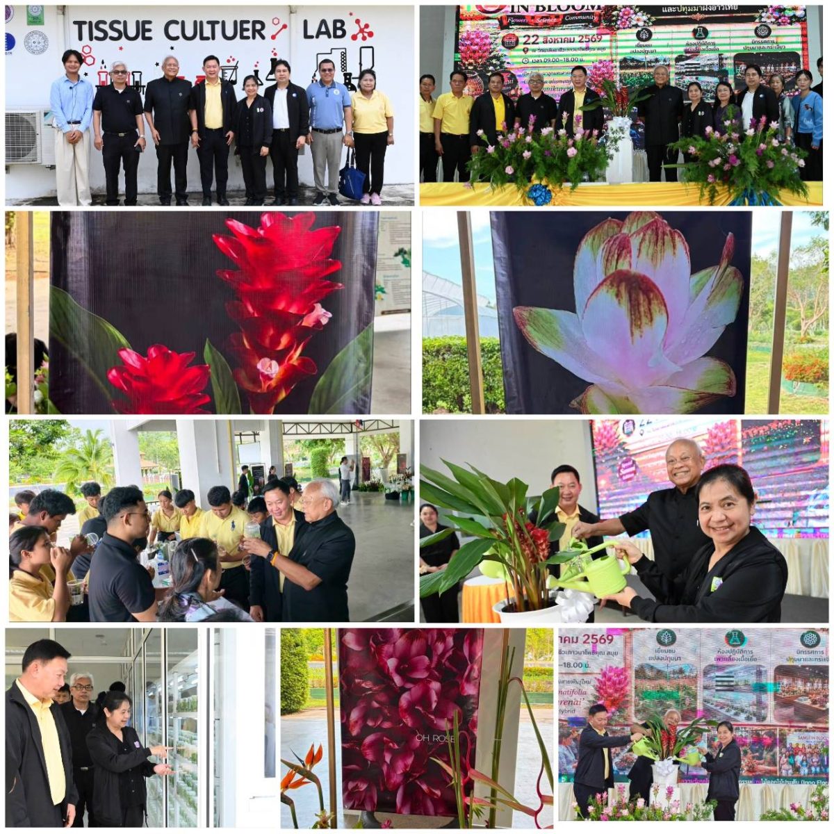 กระทรวงการอุดมศึกษาวิทยาศาสตร์ วิจัยและนว...