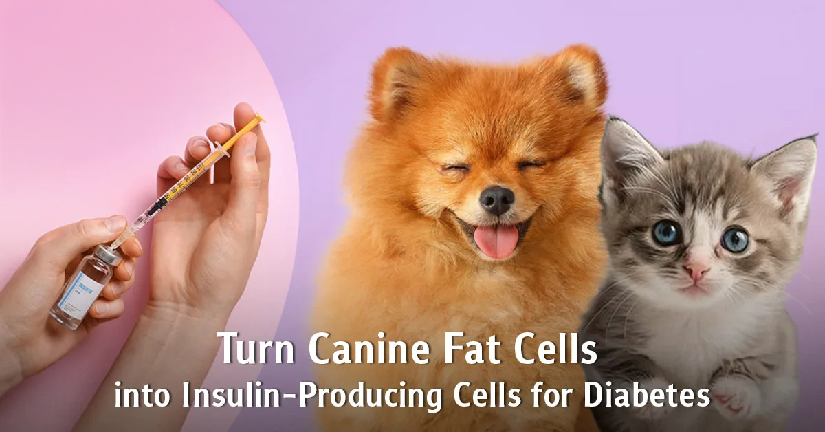 While diabetes is commonly associated wit...