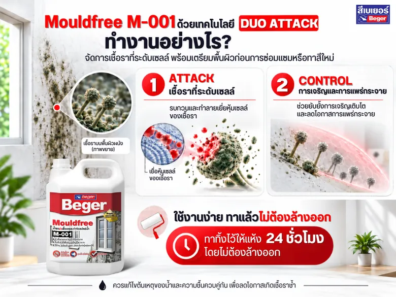 น้ำลด อย่าเพิ่งวางใจ! นักวิจัยเบเยอร์เตือน "เชื้อราในบ้าน" เสี่ยงกระทบสุขภาพแนะกำจัดความชื้น-ทำความสะอาดให้ถูกวิธี