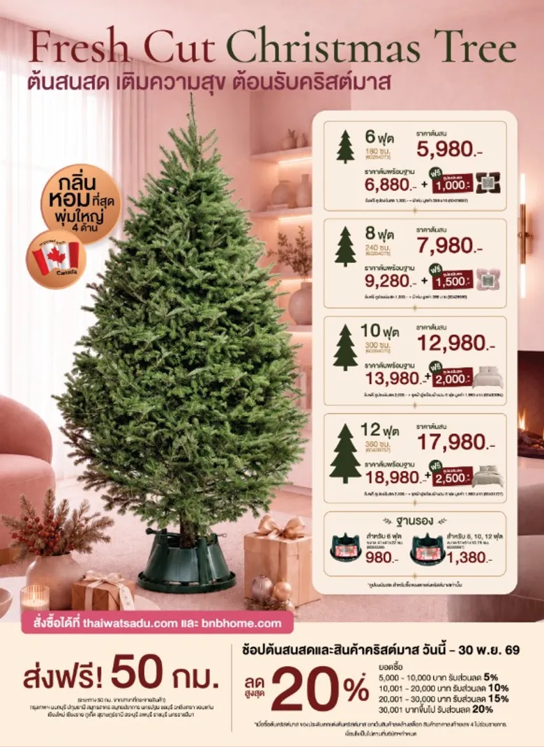 จากต้นสนสดแคนาดา ถึงซานต้ายักษ์ 10 เมตร! "ไทวัสดุ-บีเอ็นบี โฮม" เปิด Pre-Order Christmas 2026 ชวนช้อปโปร Early Bird ลดสูงสุด 20% ปักหมุด "Festive Destination" รับเทศกาล