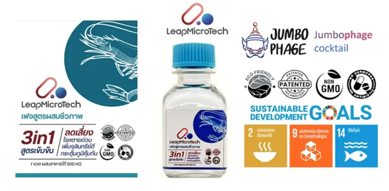 The Jumbophage Cocktail_Fighting Superbugs and Shrimp Disease