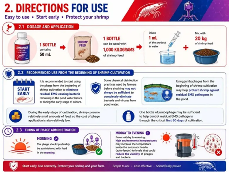 The Jumbophage Cocktail_Fighting Superbugs and Shrimp Disease