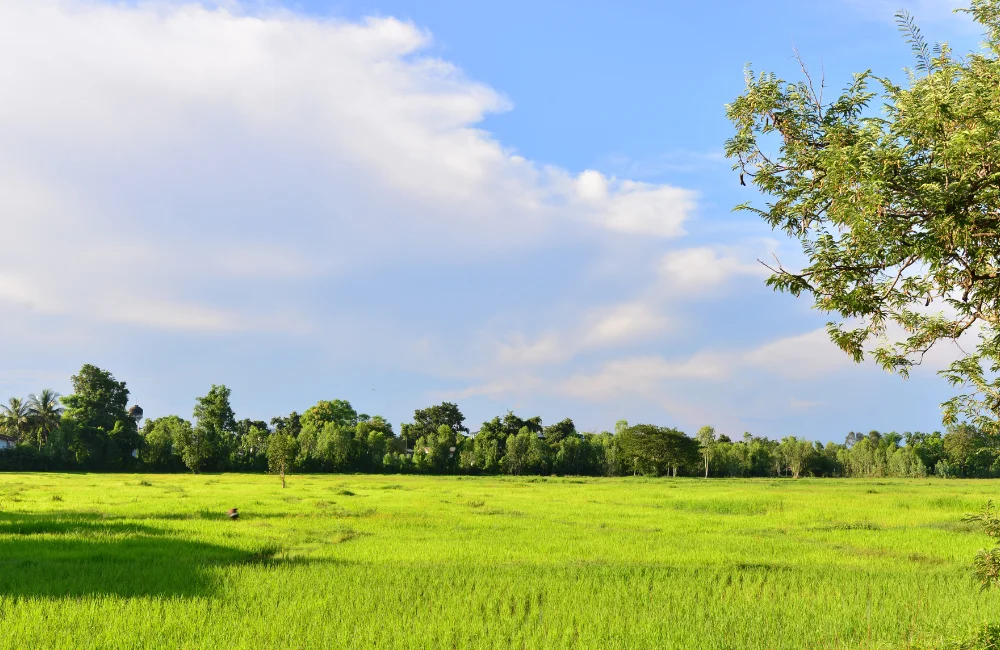 เงื่อนไขไม่ยุ่งยาก