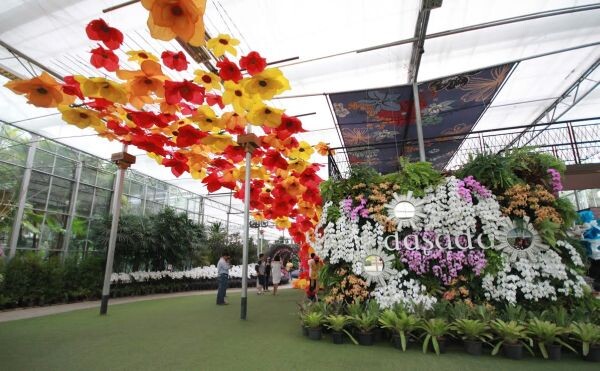 ดาษดาแกลเลอร์รี่ โชว์เทศกาลดอกไม้ยิ่งใหญ่สุดในเมืองไทย ด้วยคอนเซปต์ “Art in Heart" แค่เห็นก็เข้าใจ พร้อมรับนักท่องเที่ยวทุกฤดูกาล