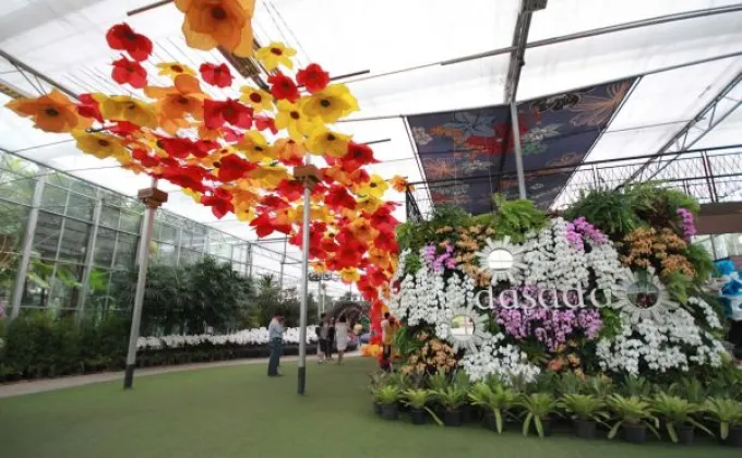ดาษดาแกลเลอร์รี่ โชว์เทศกาลดอกไม้ยิ่งใหญ่สุดในเมืองไทย