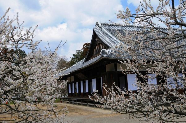 “เทศกาลชมดอกบ๊วย มิโตะ” ฉลองครบรอบ 120 ปีของงานเทศกาลดอกบ๊วยที่ได้รับความนิยมสูงสุดในประเทศญี่ปุ่น การมาถึงของฤดูใบไม้ผลิ ณ สวนไคราคุเอ็น–โคโดกัน (Kairakuen-Kodokan)