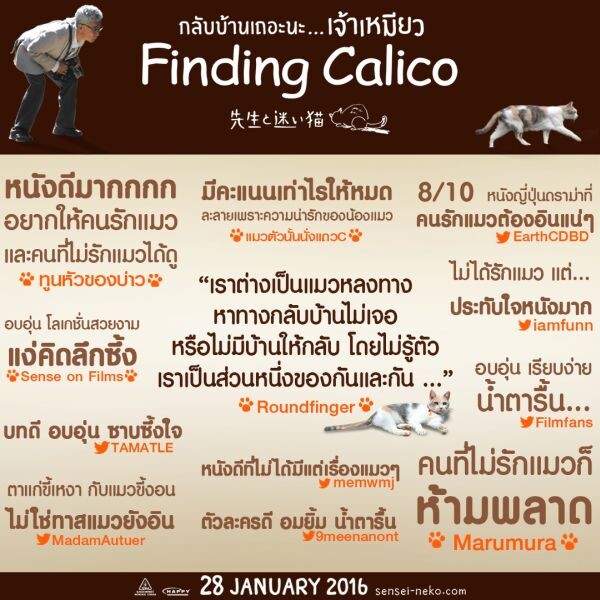 Movie Guide: อิสเซย์ โองาตะ และ โชตะ โซเมะตานิ จาก ปรสิต เพื่อนรักเขมือบโลกนำทีมร่วมออกตามหา เจ้าเหมียว ขี้น้อยใจ ที่ชอบหนีออกจากบ้านในภาพยนตร์สุดน่ารัก Finding Calico ..กลับบ้านเถอะนะ .... เจ้าเหมียว