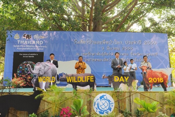 กรมอุทยานฯ จัด “วันสัตว์ป่าและพืชป่าโลก” สร้างสำนึกคนไทยอนุรักษ์ทรัพยากรธรรมชาติ