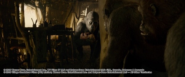 Movie Guide: ตำนานแห่งทาร์ซานกำลังจะกลับมา ในตัวอย่างล่าสุด The Legend of Tarzan  30 มิถุนายนนี้ ในโรงภาพยนตร์